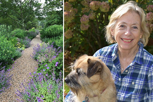 Digging Deeper: Change in the Garden—A New Adventure